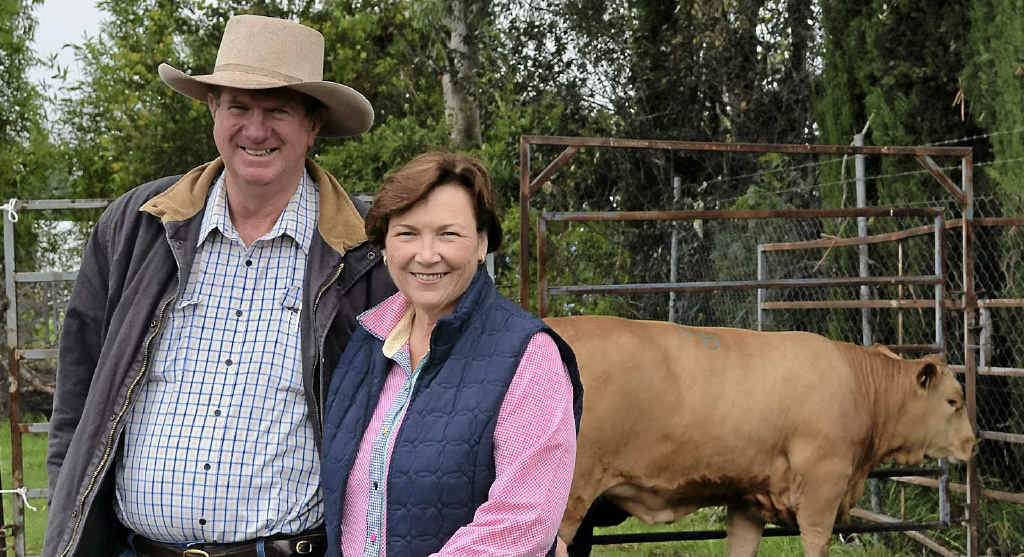 SUCCESS: It was raining, but that didn’t dampen the joy for Pat and Lorna McMahon when they won the major title at this year’s Killarney Show, and (inset) Andrew Grayson presents Pat and Lorna with the grand champion of the show trophy. SUCCESS: It was raining, but that didn’t dampen the joy for Pat and Lorna McMahon when they won the major title at this year’s Killarney Show, and (inset) Andrew Grayson presents Pat and Lorna with the grand champion of the show trophy.